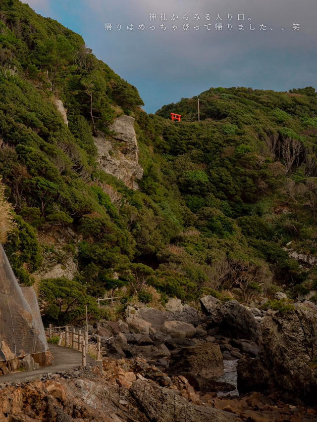 【矢筈嶽神社　📍鹿児島•屋久島】