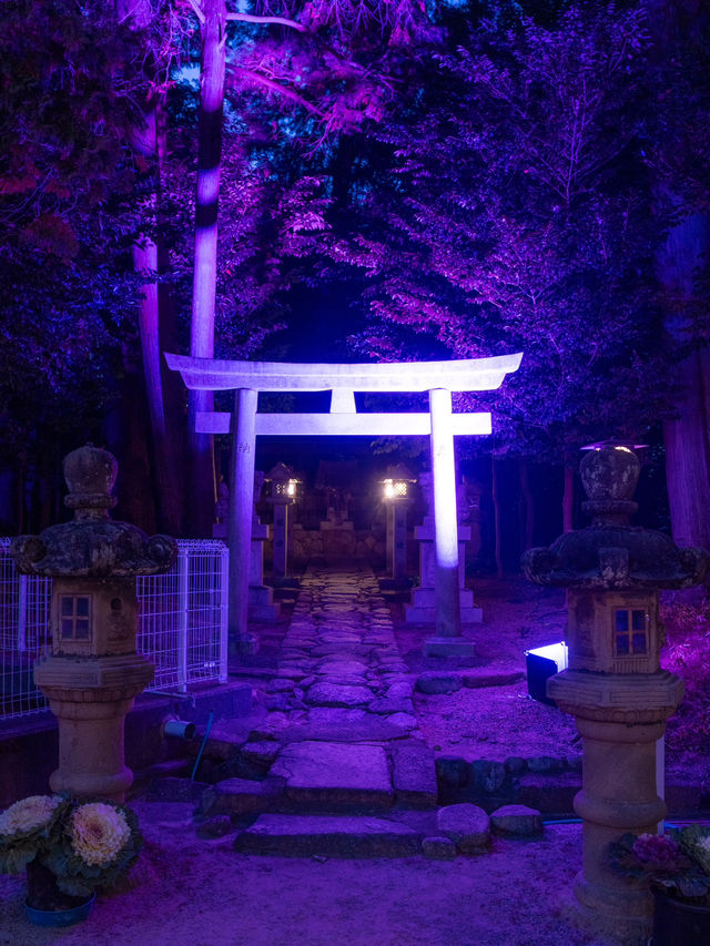 志を立て祈る神社 花手水もライトアップする滋賀県唯一の神社 12/14~1/12迄。⛩