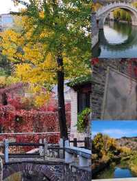 ฤดูที่สวยที่สุดของปักกิ่ง🍂