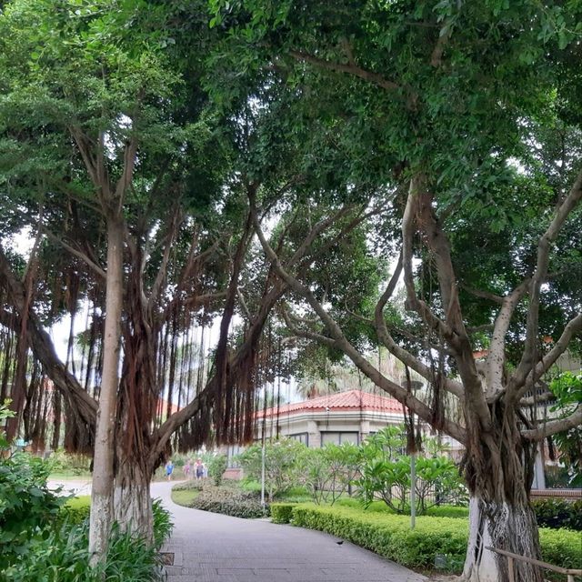 หนึ่งวันในเกาะเปียโน @ Xiamen