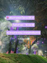 งานดอกไม้งานปีที่ 21 หาดเชียงราย ท่ามกลางสายหมอก