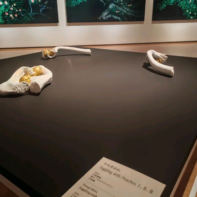 大阪的兵步縣美術館
