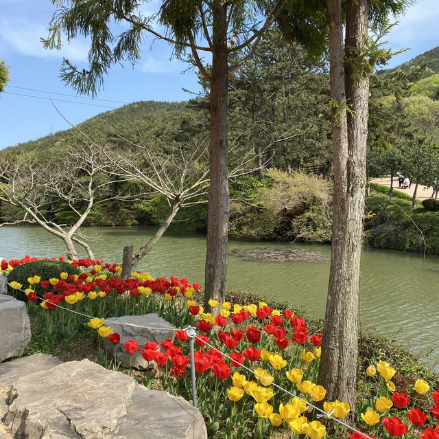 힐링이 필요할 땐 통영 ‘산유골 수목공원’ 🌳✨