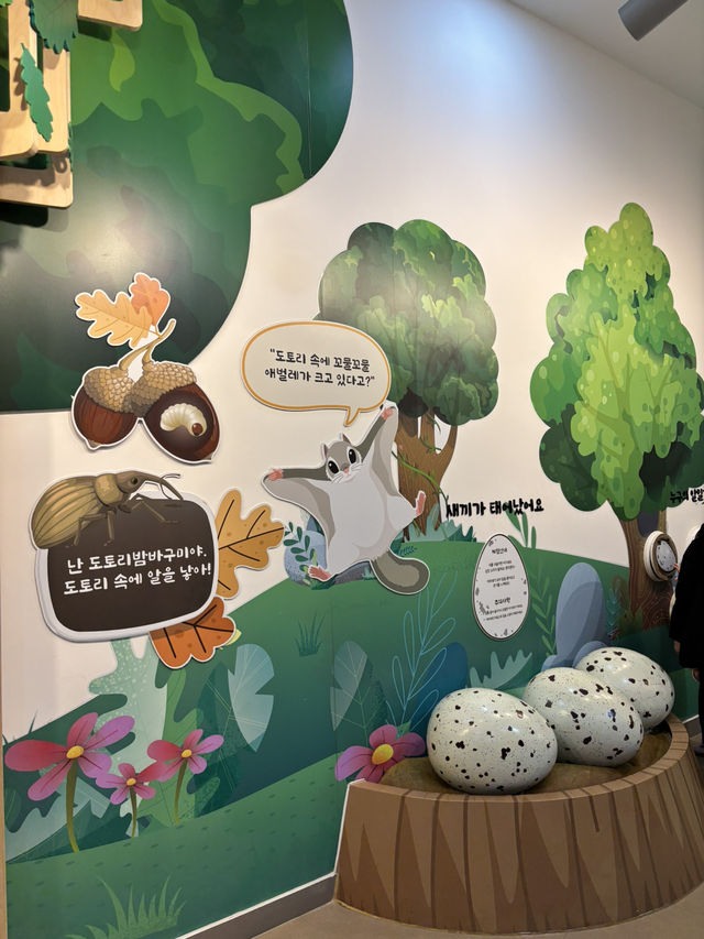 설날에 가기 좋은 국립 생태자원관😀