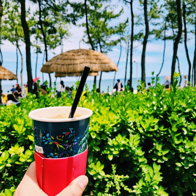 The Coffee Factory with Aesthetic Seaside Ambiance 