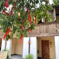 A Magical Journey to Wuzhen: Timeless Beauty and Tranquility🌸