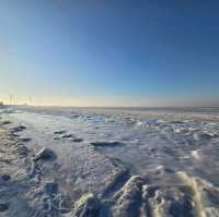 Frozen Sea 
