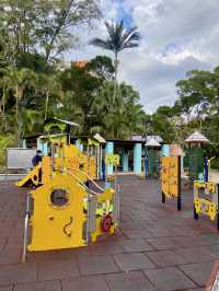 🏝️😎如熱帶雨林般的「城門谷公園」｜香港賞花拍照好地方🔥🏞️