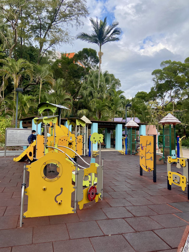 🏝️😎如熱帶雨林般的「城門谷公園」｜香港賞花拍照好地方🔥🏞️