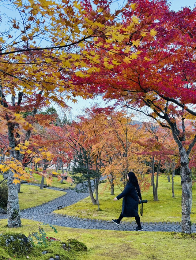 《箱根》箱根美術館で庭園散策