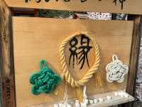 大阪京都 - 在八坂神社的心靈之旅 🌸✨