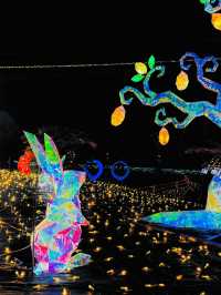 ✨🌈 伊豆ぐらんぱる公園「グランイルミ」日本屈指の体験型イルミネーション！ 🌈✨