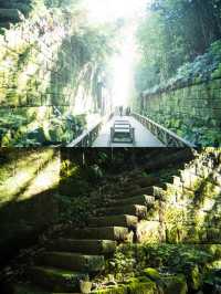 【島旅】まるでラピュタの世界！東京から近い無人島🏝️猿島探検