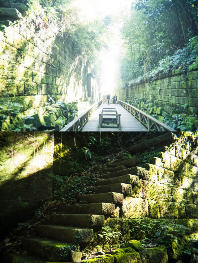 【島旅】まるでラピュタの世界！東京から近い無人島🏝️猿島探検