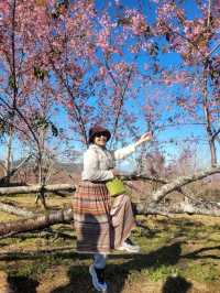 ภูลมโล จังหวัดเลย 