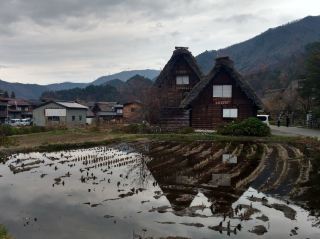 🇯🇵 Nagano: A Perfect Blend of Nature, History, and Adventure