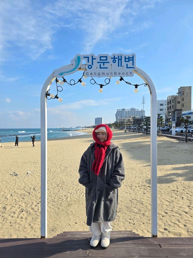 겨울바다 매력가득한 강릉여행필수코스💜