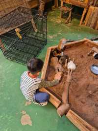 PAW Pet Animal World Nagasaki