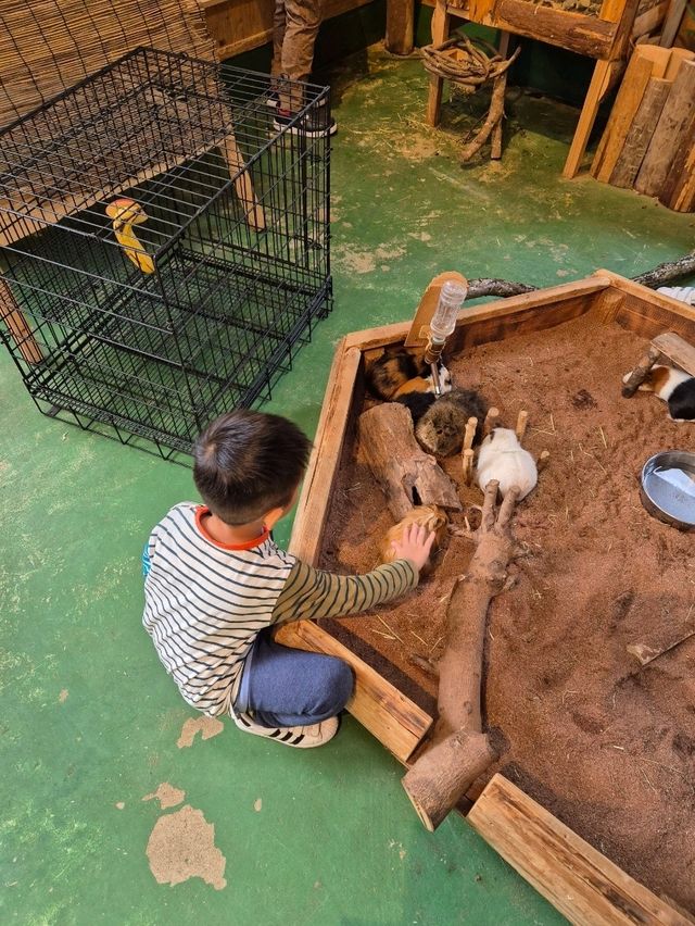 PAW Pet Animal World Nagasaki
