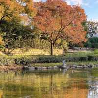 天神中央公園～美麗河濱🍂🎶