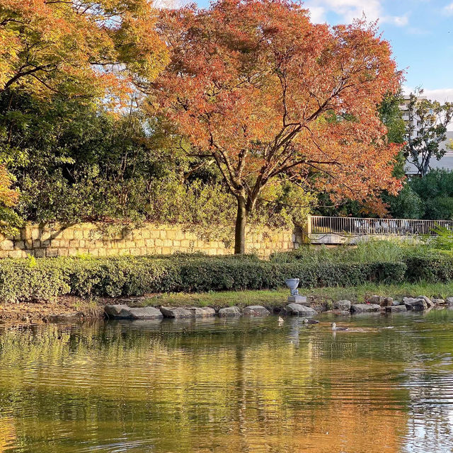 天神中央公園～美麗河濱🍂🎶