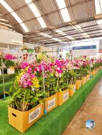 AIRORCHIDS SUPERMARKET