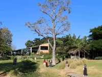 Bu•co•lic 🌲 คาเฟ่ยอดฮิตในเขาใหญ่