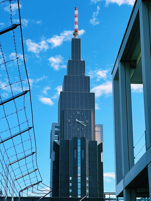 Shinjuku’s Urban Charm: Wagyu Delights & Rooftop Views