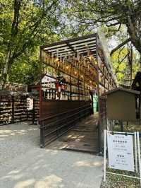 日式建築～桃園忠烈祠暨神社文化園區🏮