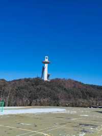 Discover Pyeongchang Alpensia Outside the Kids playground and Pet Zoo