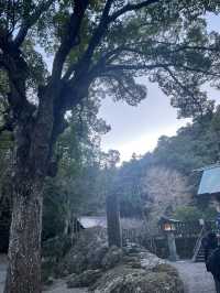 Awa Shrine: A Sacred Power Spot in Chiba, Japan