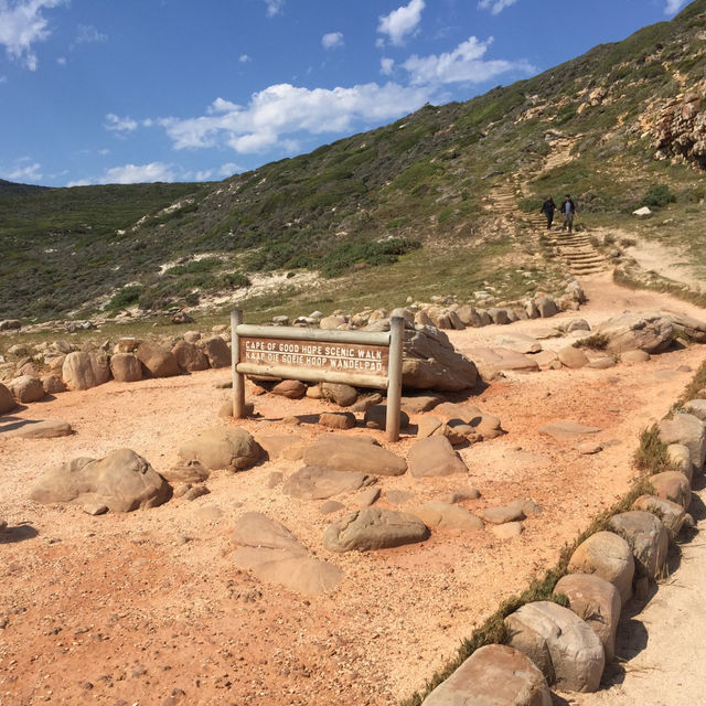 開普角之旅X壯麗美景與歷史探索
