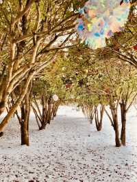 Jeju Winter Wonderland: A Nostalgic Trip to Eco Land Theme Park