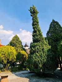 Dali Zhangjia Garden