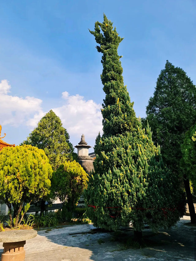 Dali Zhangjia Garden