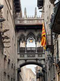 Some people said Barcelona is boring, what you say?