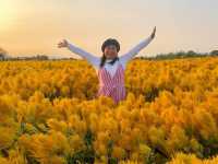 Lost in Zhongshe Flower Market for a Day– Taichung