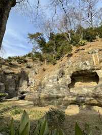 【鎌倉×初春日帰り旅】  「花の寺」として有名  梅の名所