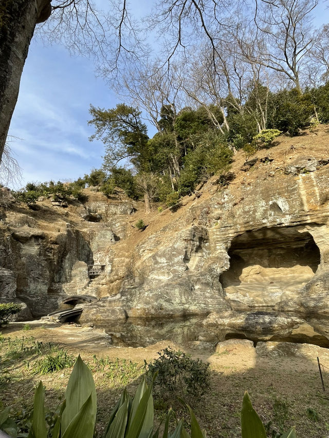 【鎌倉×初春日帰り旅】  「花の寺」として有名  梅の名所