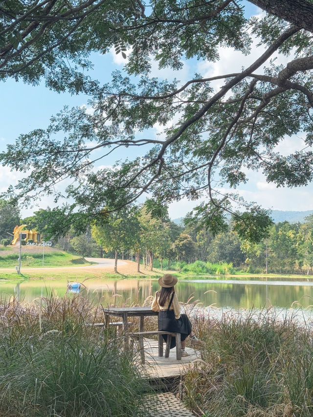 Fernpresso at lake คาเฟ่ vibe ดีย์ในเมืองเชียงใหม่