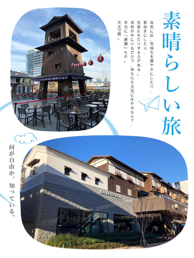 東京市場新景點「豐洲」