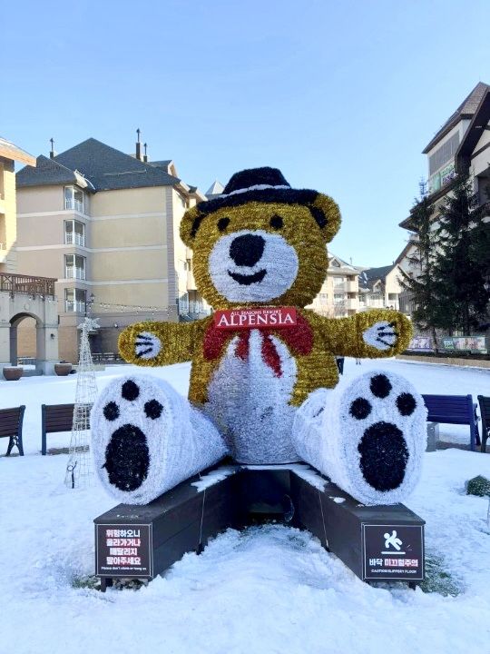 Alpensia Pyeongchang: A Perfect Winter Escape 