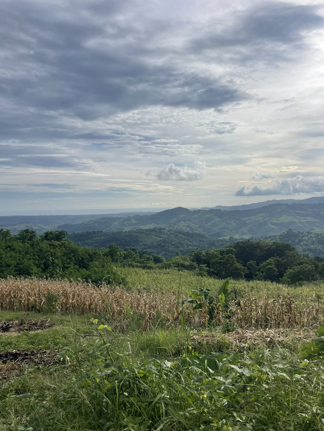 Why Driving Around Waikabubak is an Unforgettable Experience 🚗🌿