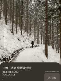 Jigokudani snow monkey Nagano
