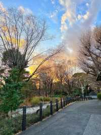 Ueno Park 🇯🇵