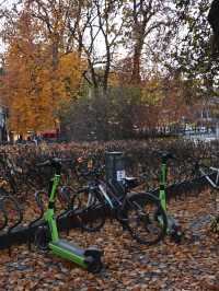 แพลนเดินเล่นเมือง Oslo,Norway 2 วันแบบชิวๆ 