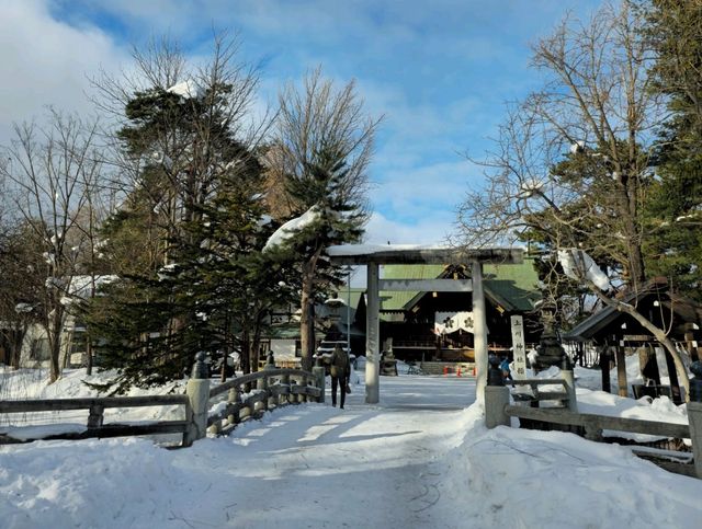 겨울여행 북해도 아사히카와 인기 공원 ⭐️Tokiwa Park 산책