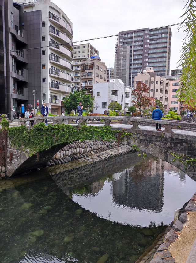 A Day Trip to Nagasaki: Exploring History, Culture, and Scenic Views