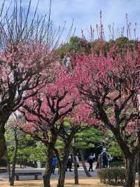 精緻巧妙造景的水前寺成趣園