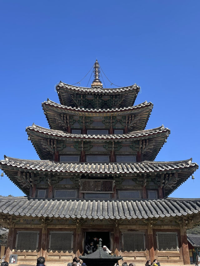 충북 보은 여행 유네스코 법주사 